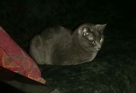 Couches needed to be carefully held during windstorms