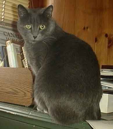 Watching outside is only important when no one is watching inside